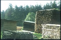 DFG Project Munessa Forest (17)