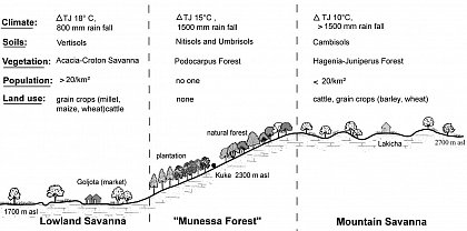 Fig. 3. Soils and vegetation of the study area